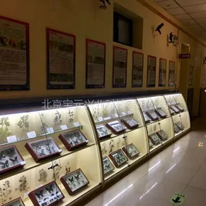 ճ��ʽ֦��������40*60cm