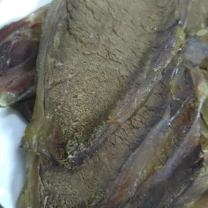 河北天烨牛腱肉卤牛肉注射原料魔芋粉提高出品率嫩度