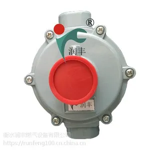柘城县RTZ天然气减压器中压进户润丰