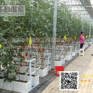 平顶山|三门峡|周口|许昌|南阳|新乡连栋温室大棚厂家设计安装