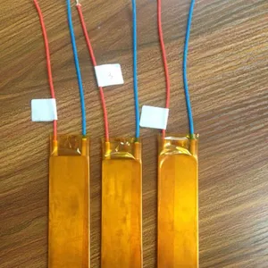 FL����о, �����а巢����