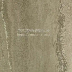 ŷ������ɫɰ����·ȫ���Կ�����ש600 600��ש
