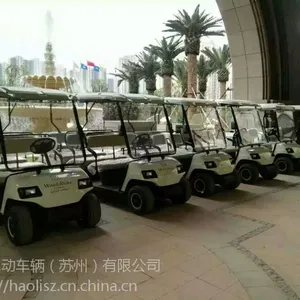 �������ҹ�Ӧ����2���綯�߶�����