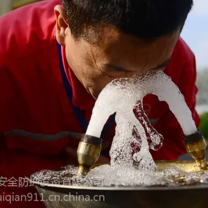 �ڹ�ʽϴ���� �ǫRQ1003 �ڹ�ʽϴ���� ����ֱڹ�ʽϴ����
