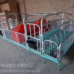 腾诚养猪设备大全 双体母猪产床批发 产床配件批发