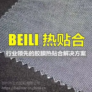 锂电池专用热熔胶膜