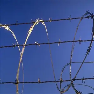������Ƭ���� ��п��Ƭ���� ��˿��