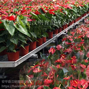 无锡定制移动式花架网 汉明温室苗床网 品牌保证 量大从优
