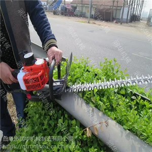 �����ֳ������޼��� ǿ����˫���̻����޼��� ��ֲ��ũ��