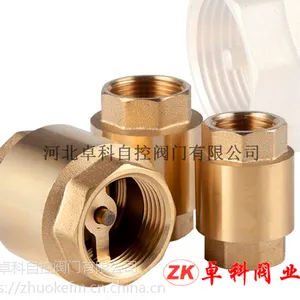 河南 卓科 黄铜立式止回阀门 内螺纹铜管水弹簧垂直型止回阀锻造 直销