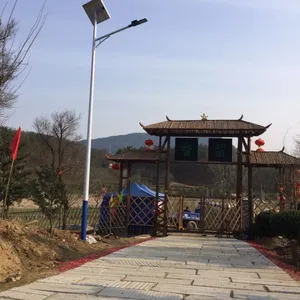 四川达州渠县土溪镇六米30瓦太阳能路灯锂电二体灯锂电池