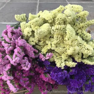 云南天然干花勿忘我 云南基地直供 勿忘我干花批发 勿忘我干花花束 风干勿忘我