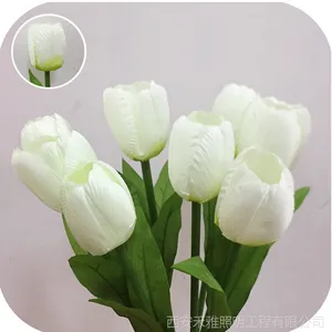 �����ˮ �ز�� ��ɫ�ز�ƻ����ƹ�ڲ�ص�