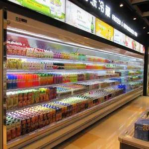 北京什么牌子的大型饮料风幕柜好