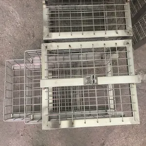 ��������ֱ������ ���ɿ�