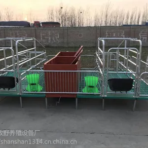 养猪分娩保育床 双体母猪产床设备