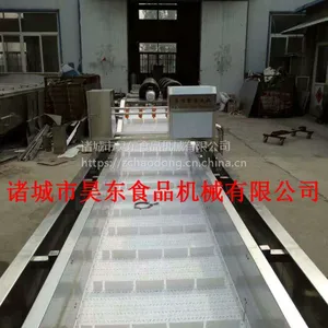 ***木奶果清洗机 昊东厂家直销木奶果清洗设备