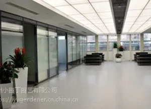 苏州绿植租赁_小园丁植物品种齐全_绿植租赁公司