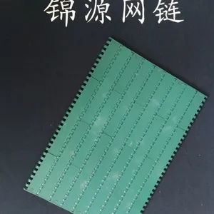 塑料网带25.4节距模块塑料网链网带输送带