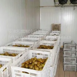 安徽黄山市水果蔬菜保鲜库厂家建设