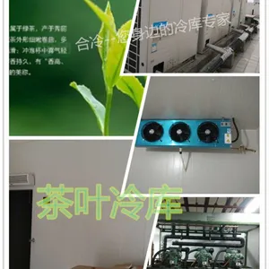 茶叶冷库--黄山毛峰保鲜冷库设计安装-合冷定制