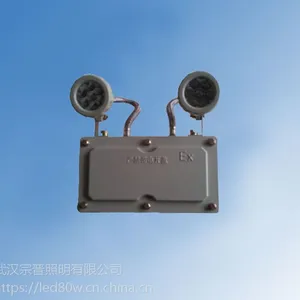工厂用防爆应急灯BJD320,LED防爆双头应急灯BJD320