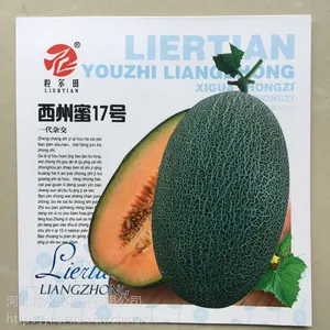 西州蜜种子 网纹瓜种子 哈密瓜种子 粒尔田西州蜜17号种子