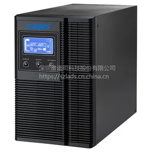 雷迪司1KVA 8小时在线式UPS不间断电源800W配置100AH电池6只雷迪司G1KL