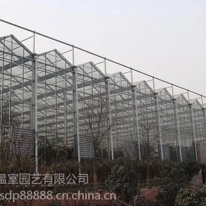 哪里能建造智能温室?玻璃温室价格多少钱?点我点我