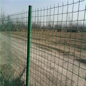 荷兰网 鸡鸭畜类养殖网 绿色防护铁丝网