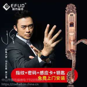 供应EFUD 别墅专用智能门锁 别墅配套指纹锁 防盗门智能锁 防盗门 电子锁 ***