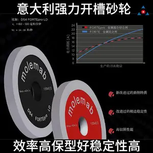 Molemab 1A1D100-T16-X10-H20CNC五轴工具磨进口强力开槽金刚石砂轮