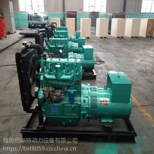 潍坊佰斯特柴油发电机组 30千瓦柴油发电机 配置K4100 小型家用养殖场用 厂家直销