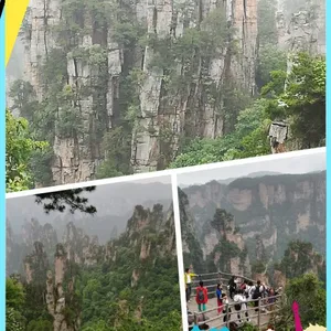 �żҽ�����·�� ȥ�żҽ����ι���