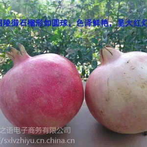 陕西昭陵御石榴非蒙自会理临潼新鲜水果果园直供批零代发包邮