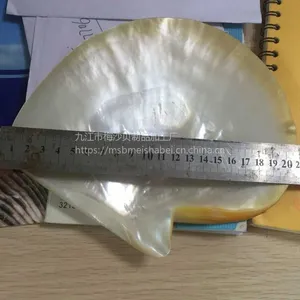 供应天然白蝶贝 贝壳板 马赛克