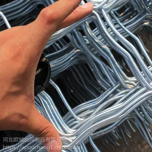 河北欧城防盗网 狗笼子美格网 窗户防盗网铁