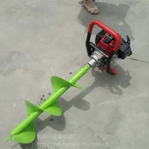 ���ʹ�����ֲ���ڿӻ� ʥ³����ֲ����