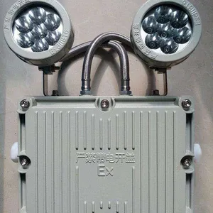 防爆双头应急灯 BAJ52 (LED)小功率5w 消防应急 化工防爆灯具厂