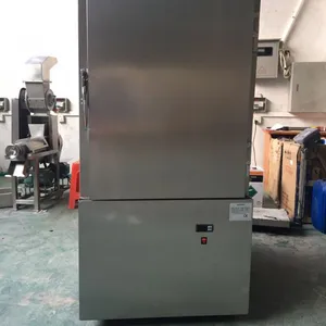 300L商用低温立式冰棍速冻柜 食品海鲜海参面食肉类冷冻柜w