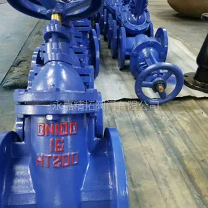 Z45T-10 ��ˮբ�� DN50 DN65 Шʽ��������բ�� �㽭���ط���