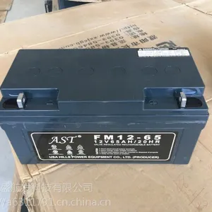 南京AST蓄电池UPS12V100AH蓄电池价格