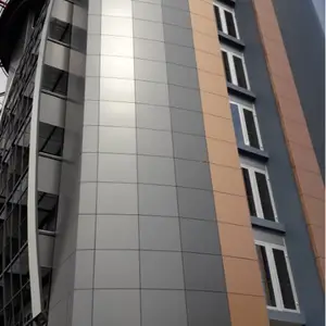 �������������Ļǽ����