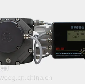 上海LLQZ罗茨流量计-苍南东星LLQZ系列气体罗茨流量仪表上海批发