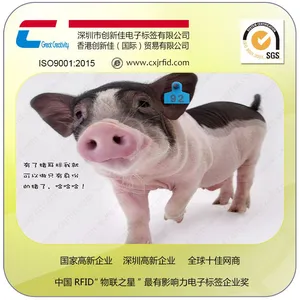 ��Ӧrfid��Ƶ������ TPU������� ��������������ֳ����