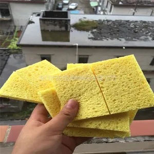����SGS��� ***����缫Ƭ������ά���� ��Ȼľ��ϴ������