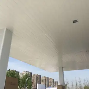 1100���屻����Ϊ����S�����۰��������ԭ����
