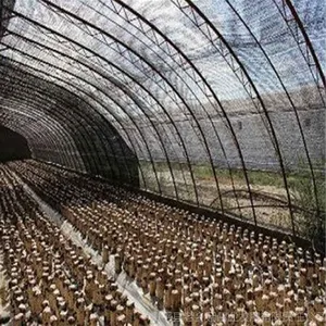 菇菌棒生产基地