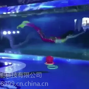 美人鱼表演 陆地小坦克出租出租 冰雕展出租出售 各种娱乐设备出租出售