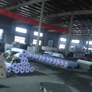 米弟亚防水PP纸 批发/零售优质防水PP纸